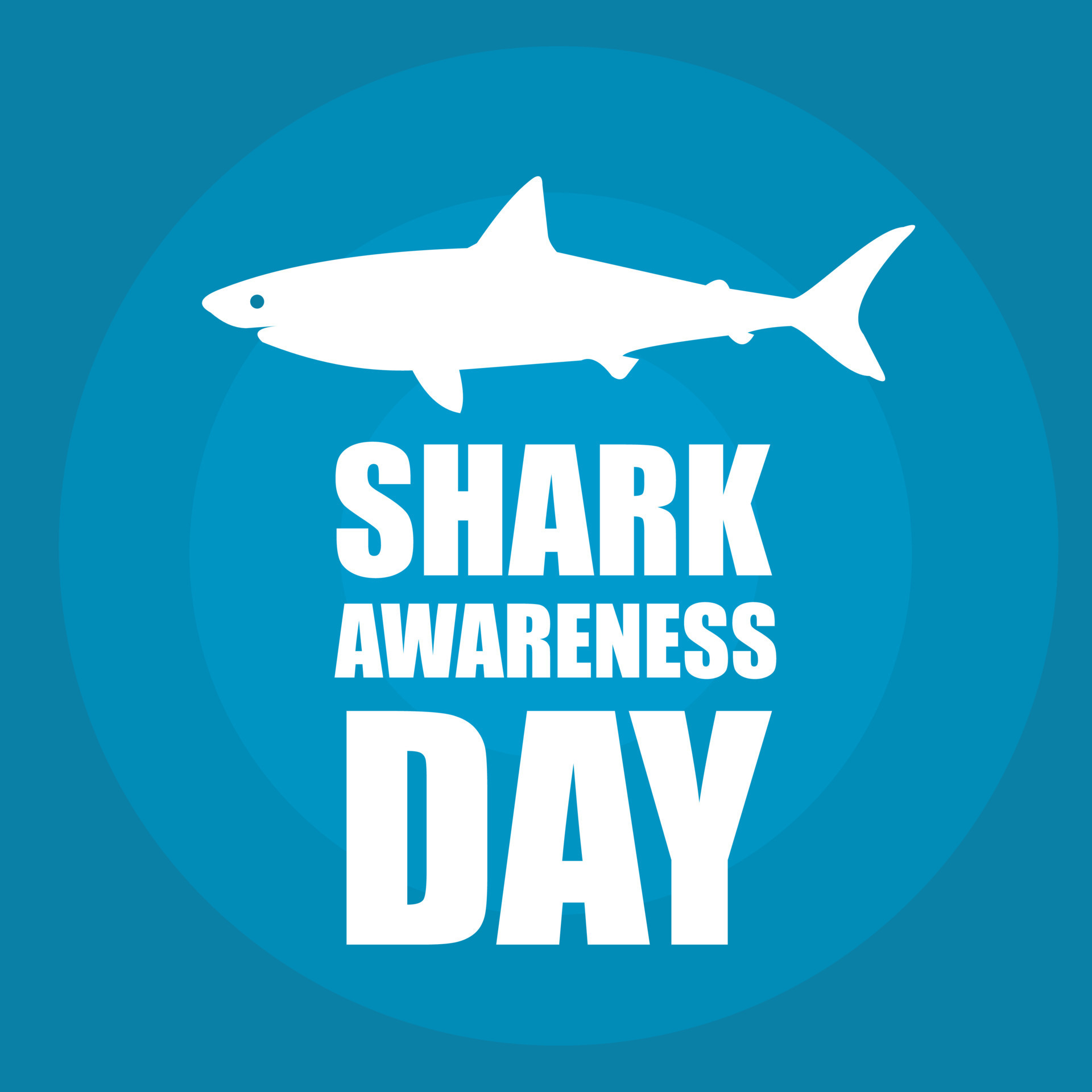 Shark Awareness Day Vector. Good for posters, social media ads. Simple