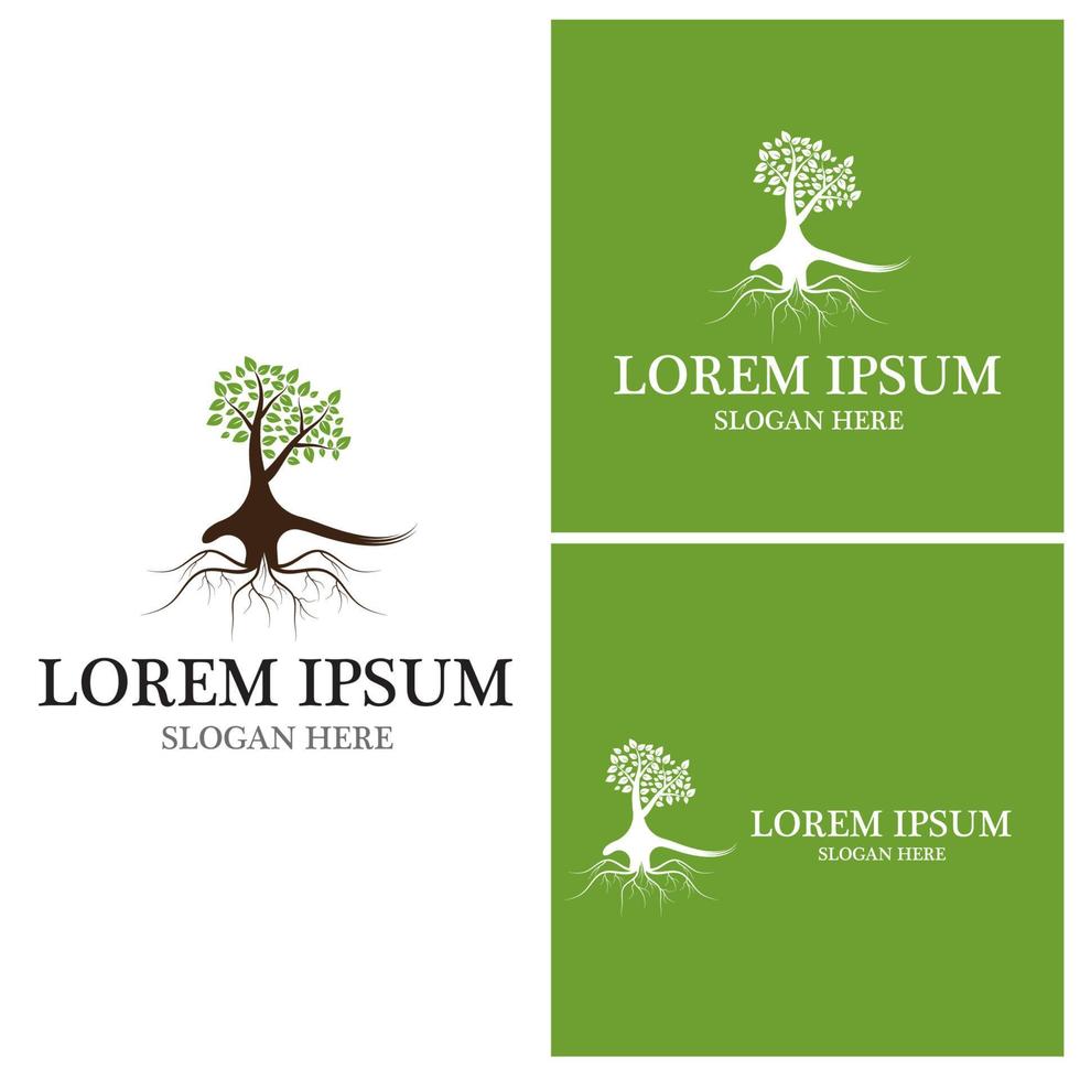 Tree icon and symbol vector template