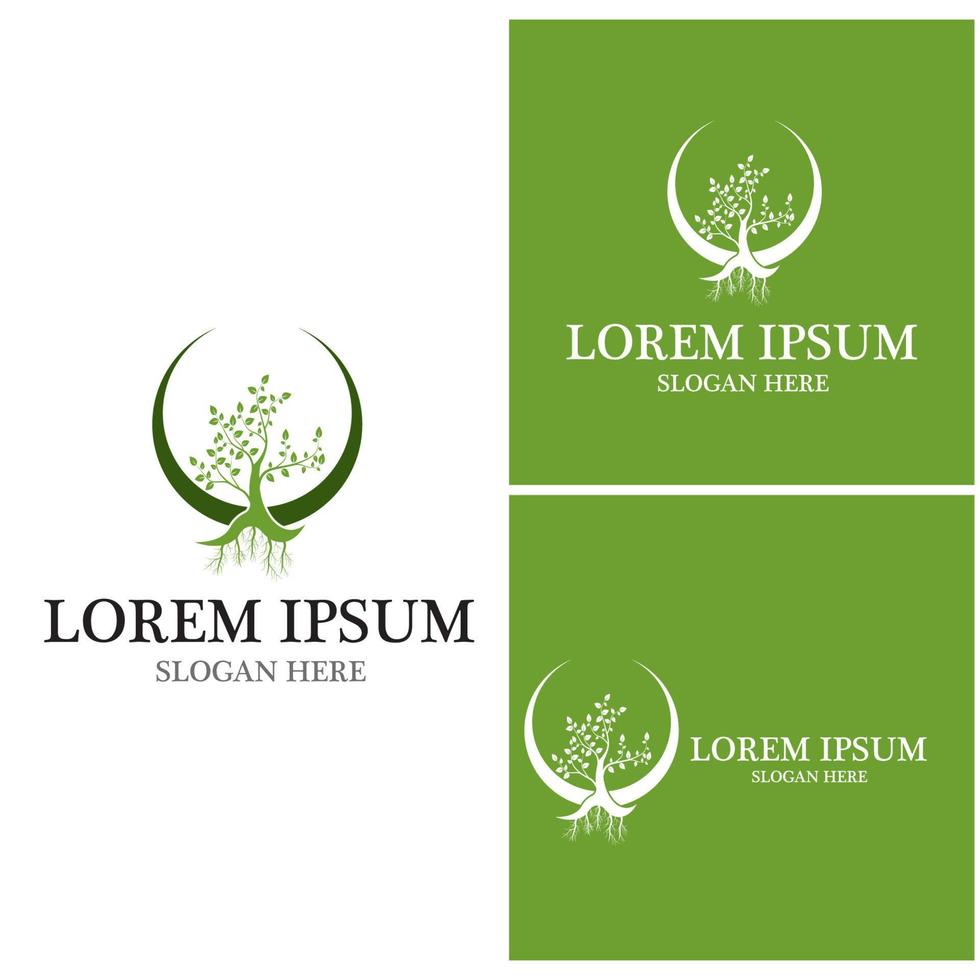 Tree icon and symbol vector template