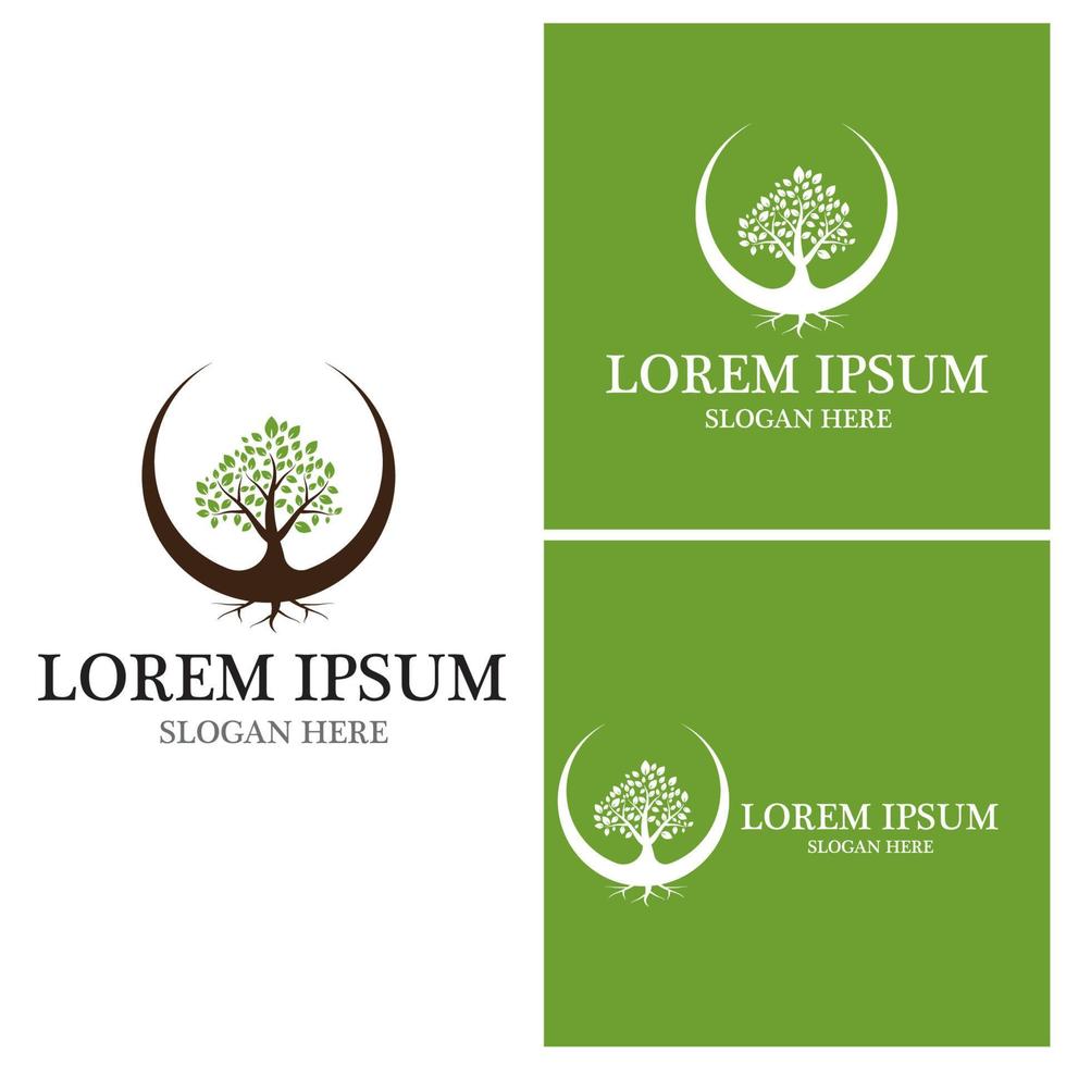 Tree icon and symbol vector template
