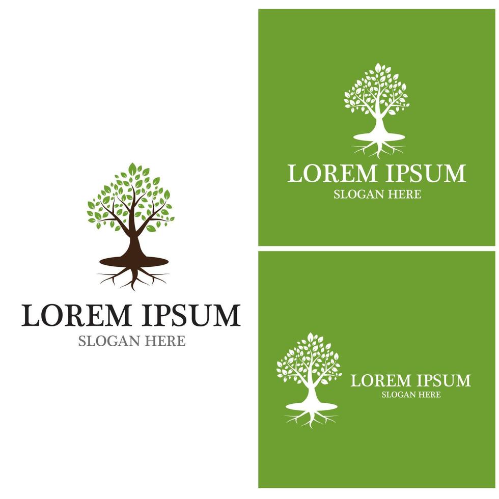 Tree icon and symbol vector template