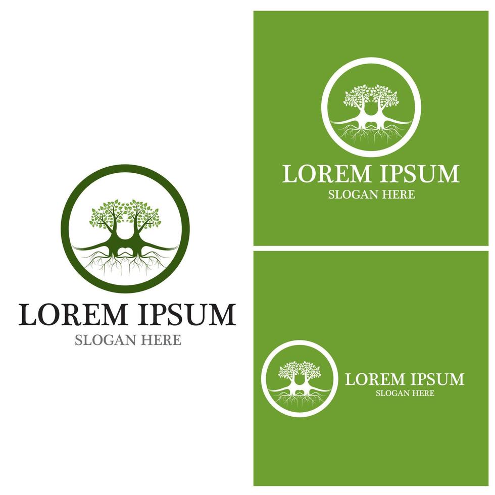 Tree icon and symbol vector template