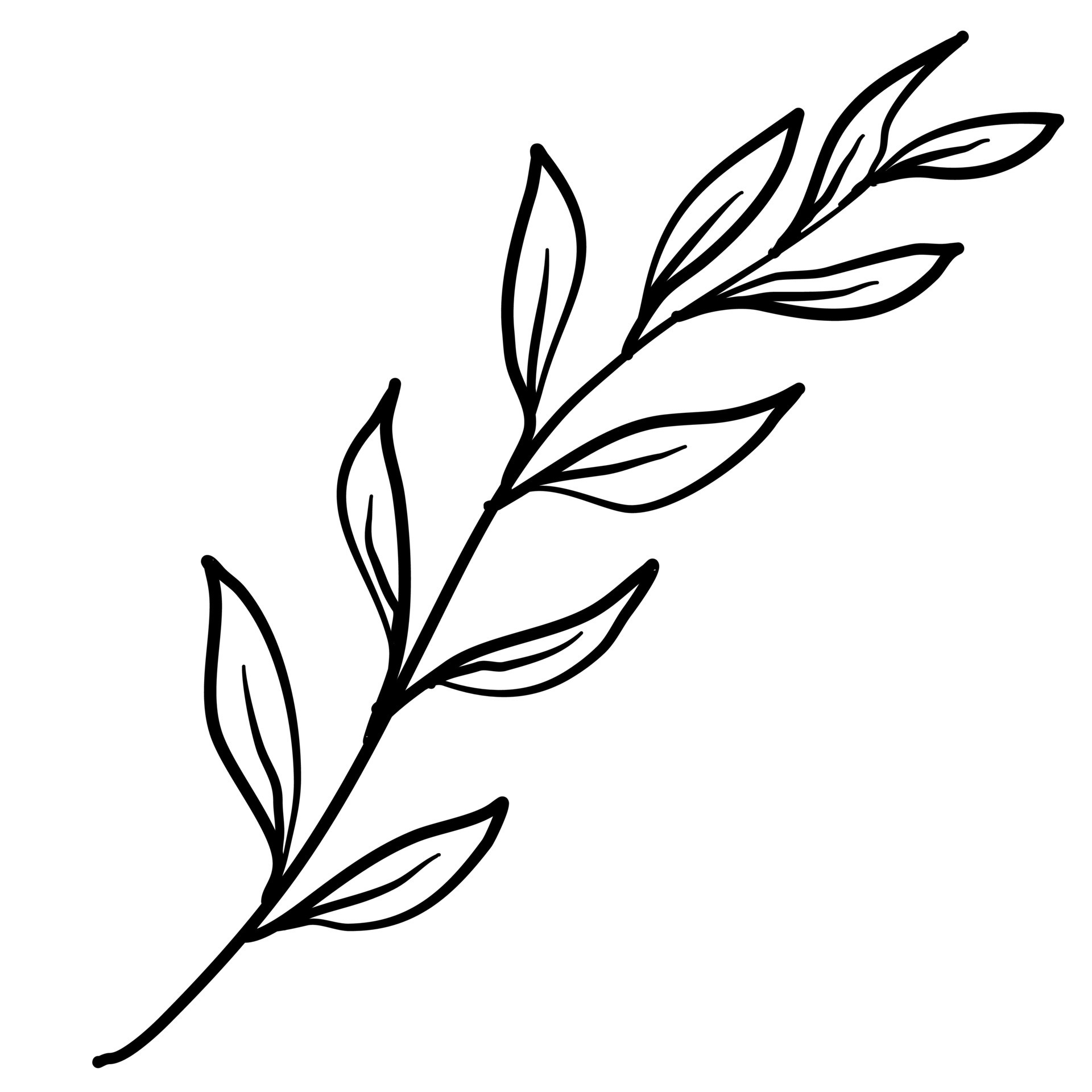 Leaves line art, black and white leaves line for prints or background