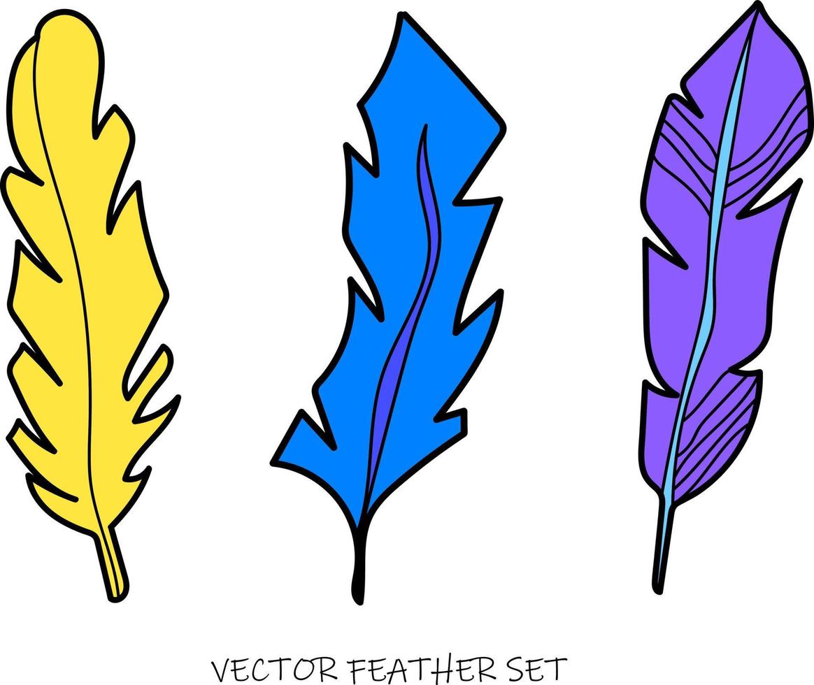 colorful ornaments bird feather hand-drawn vector