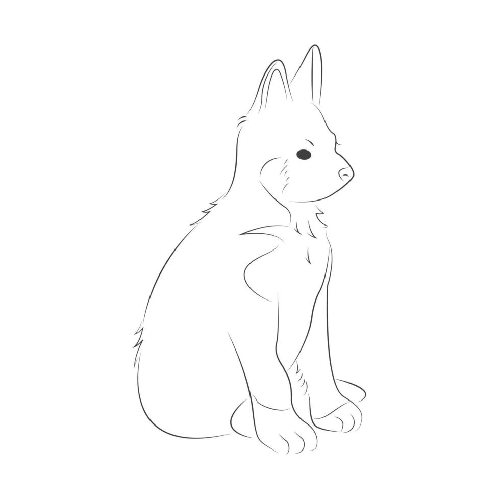 line drawing husky the dog vector