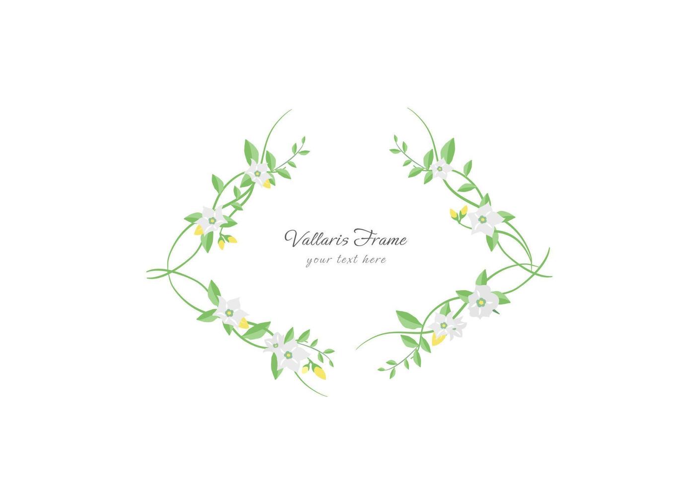 blooming bread flower with foliage frame background vector