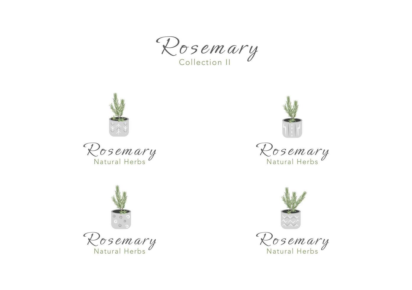 The collection of rosemary tiny tree in a clay pot vector