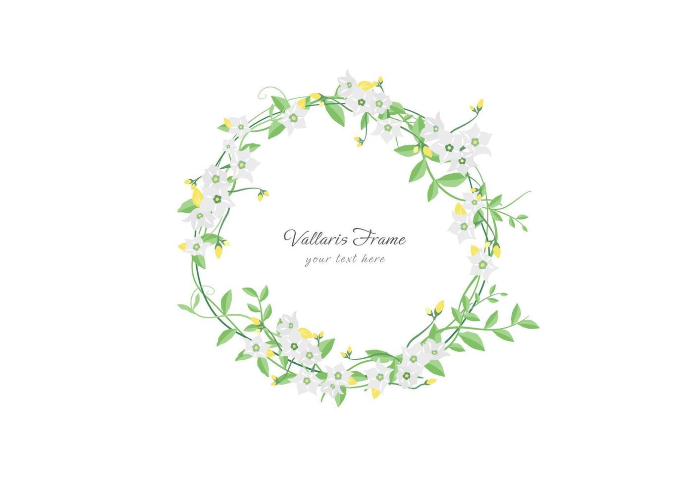 spring vallaris bread flower floral frame vector on white background