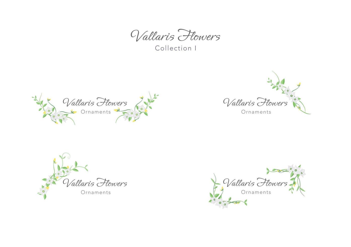 spring vallaris bread flower ornament floral frame vector