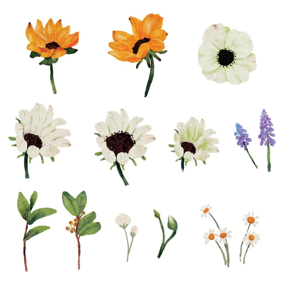 colección de elementos de ramo de flores de girasol acuarela y anémona blanca vector