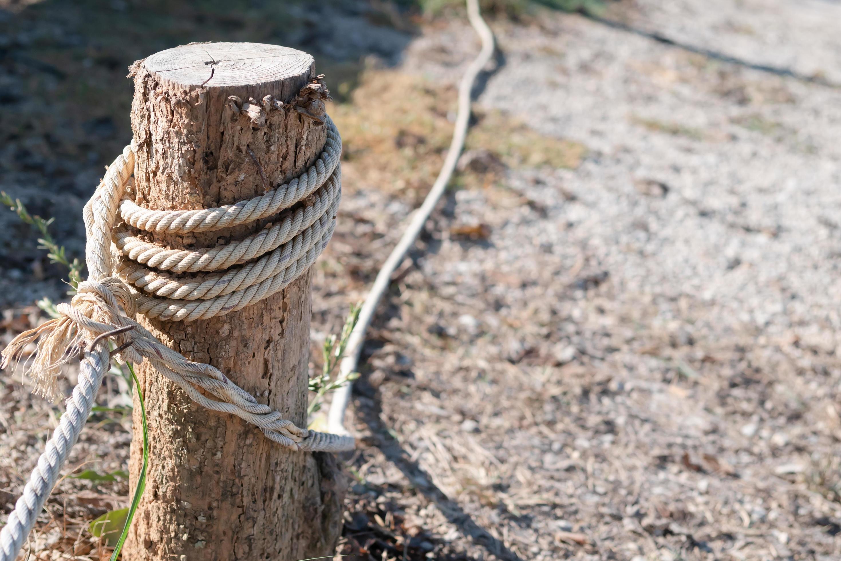 white rope tied with stump to block the areas 9007280 Stock Photo