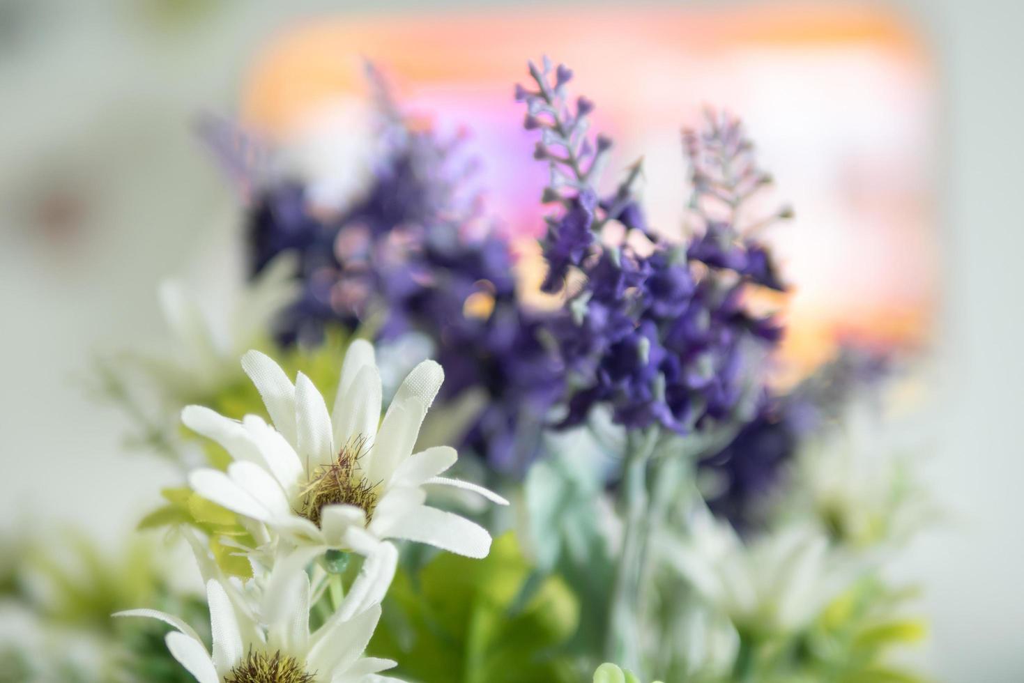 Close up white flowers and purple lavender with pollen photo