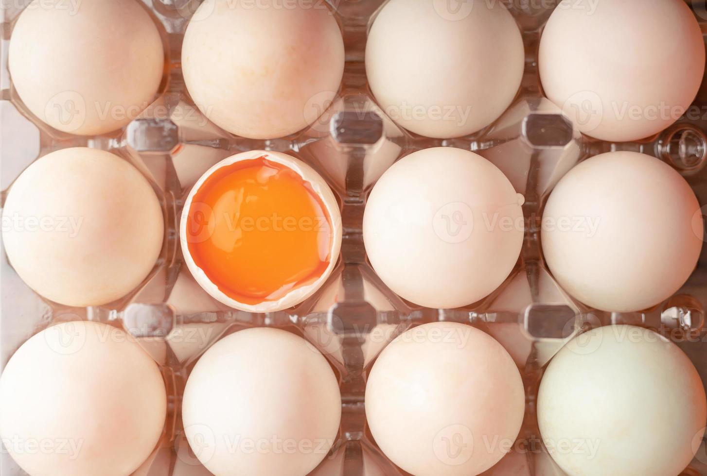 eggs of duck in plastic box photo