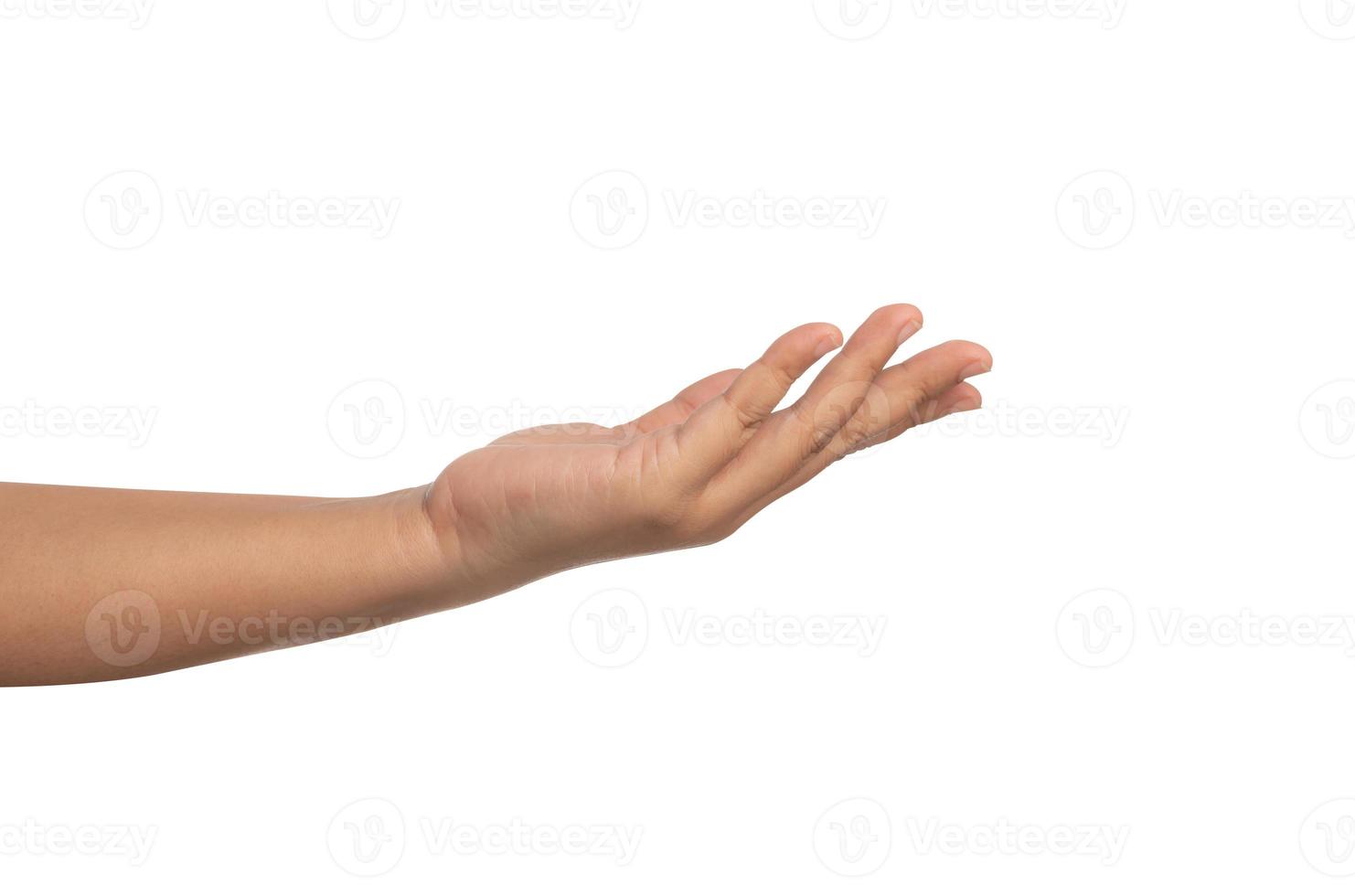 open the palm of the hand isolated on the white background photo