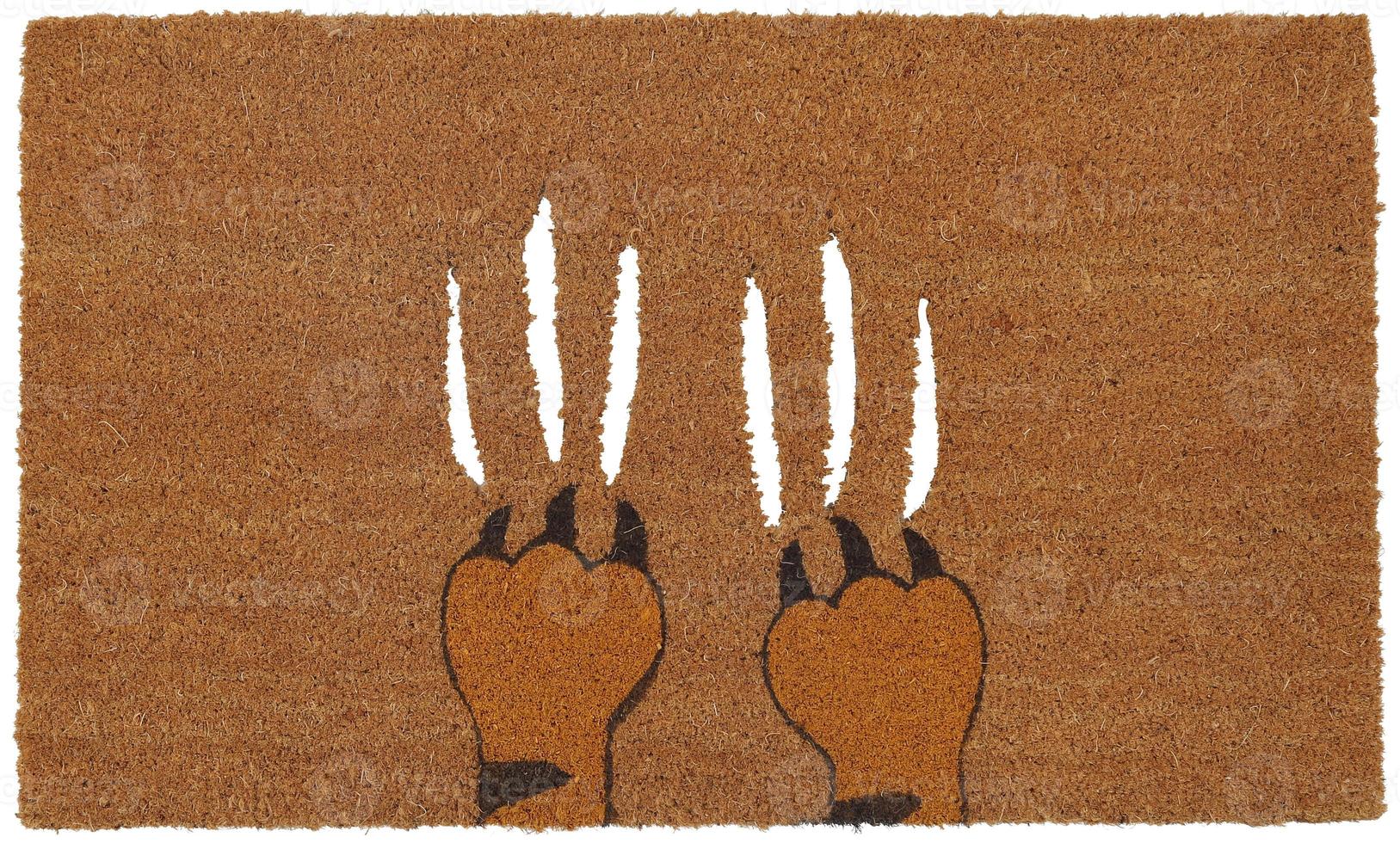 Aggeresive beige color tiger claws on zute Coir Outdoor Door mat photo