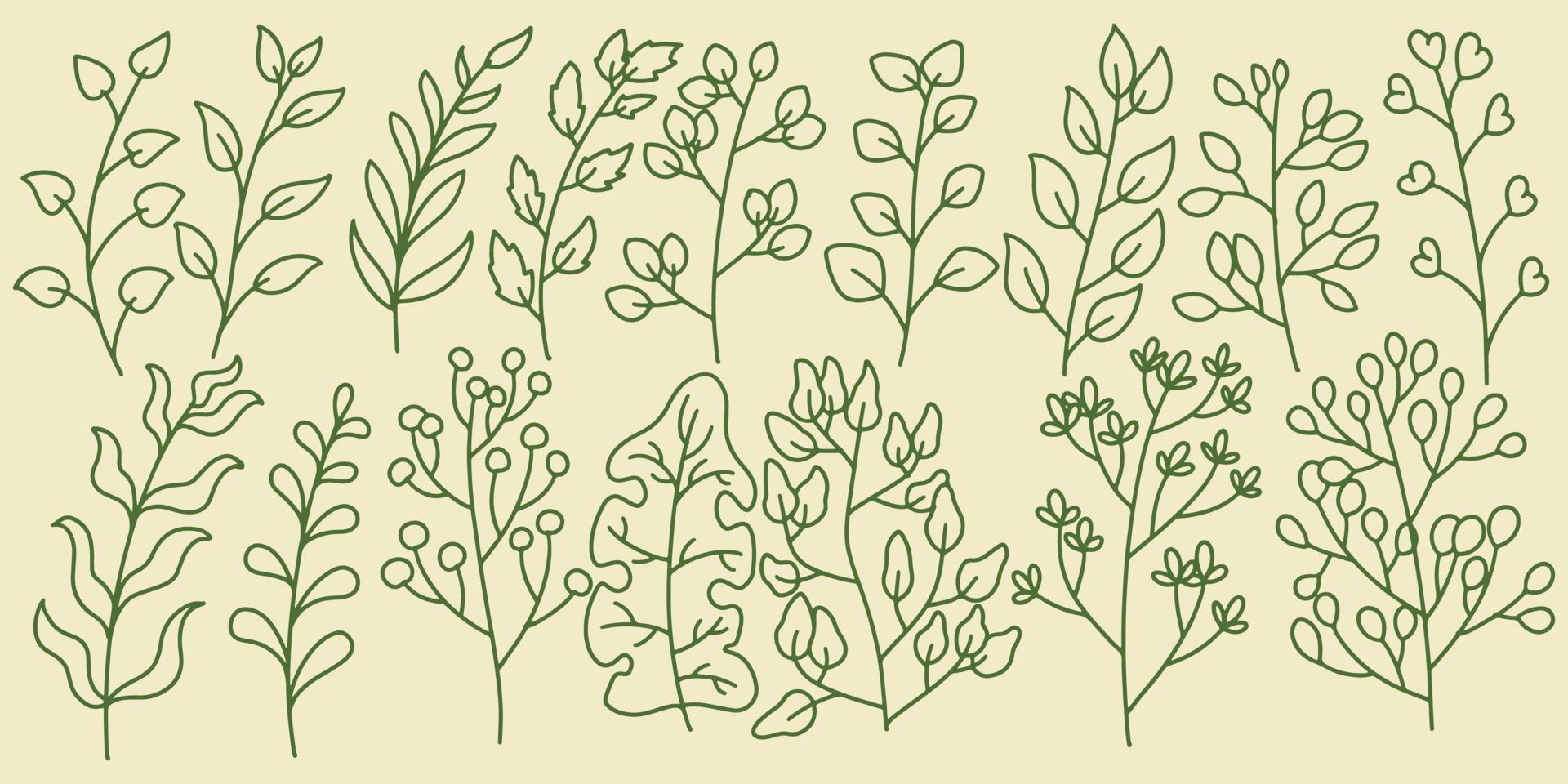 Sixteen Hand drawing set floral botanical fern forest elements vector