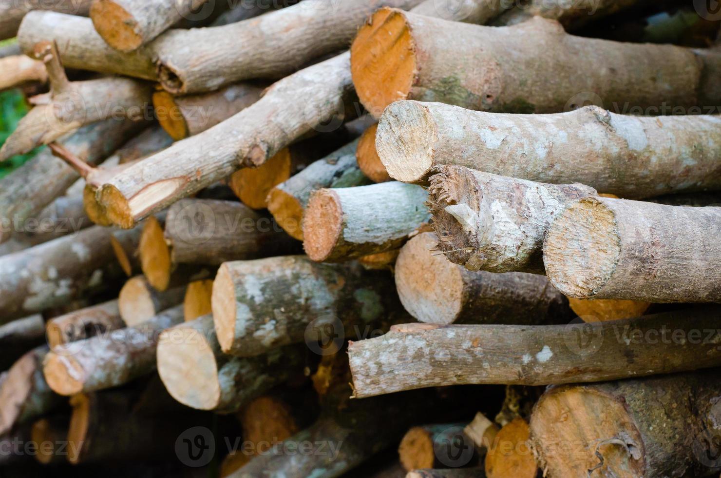 Pile of Wood Sticks for Firewood Used. photo