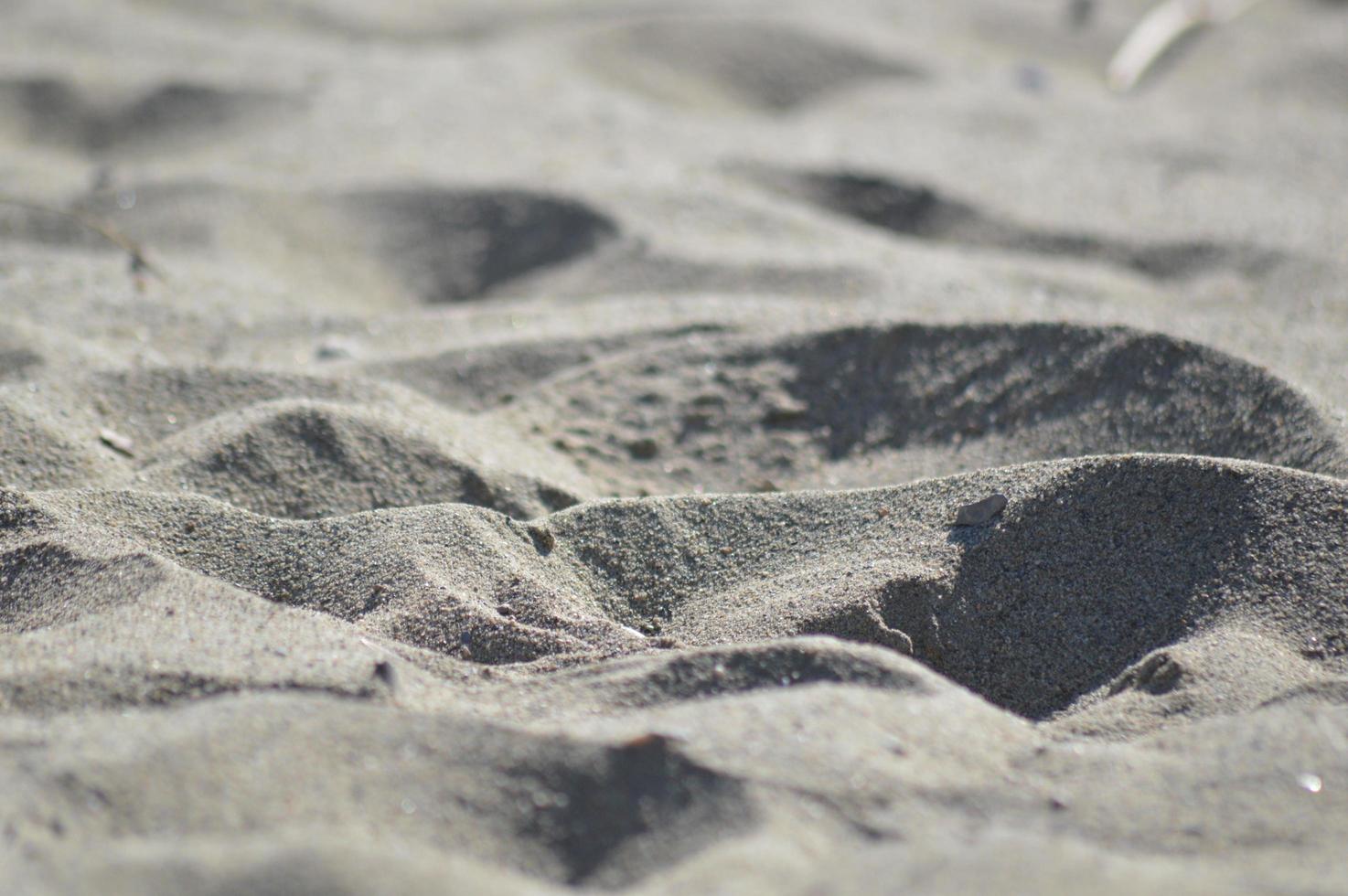 On the beach photo