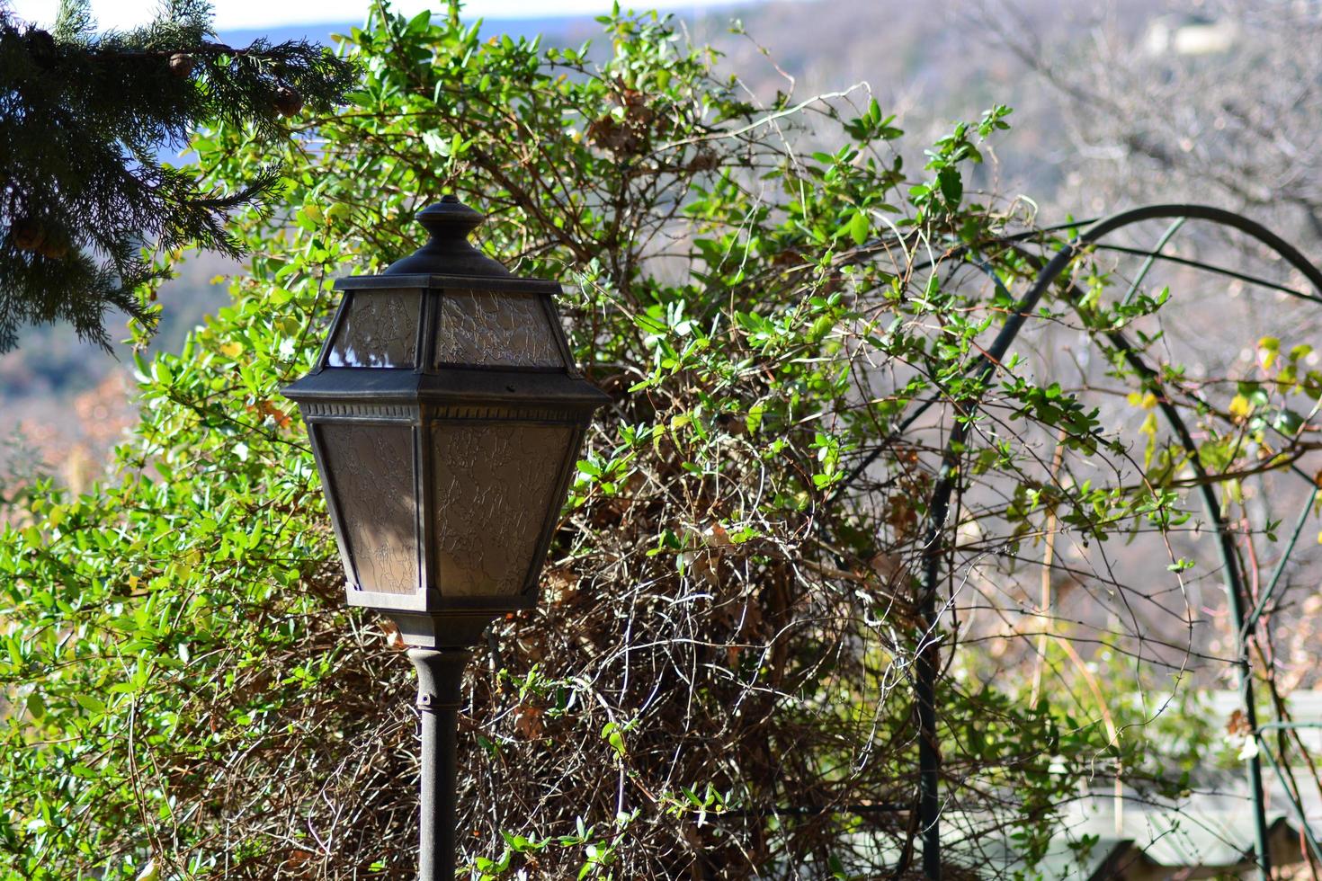 Zoom on street lights photo