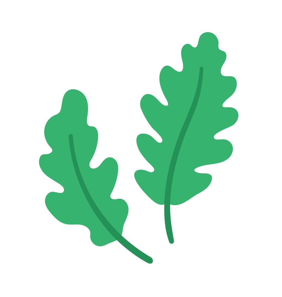 Vector oak tree leaves icon. Back to school educational clipart. Cute flat style illustration. Autumn concept