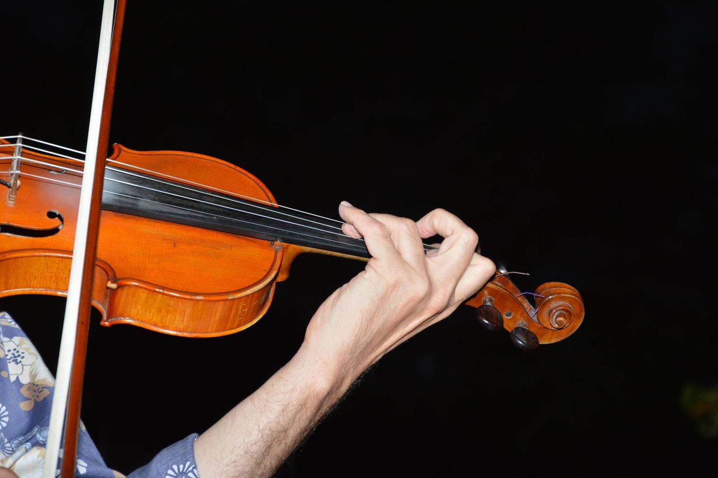 Violin and its bow photo