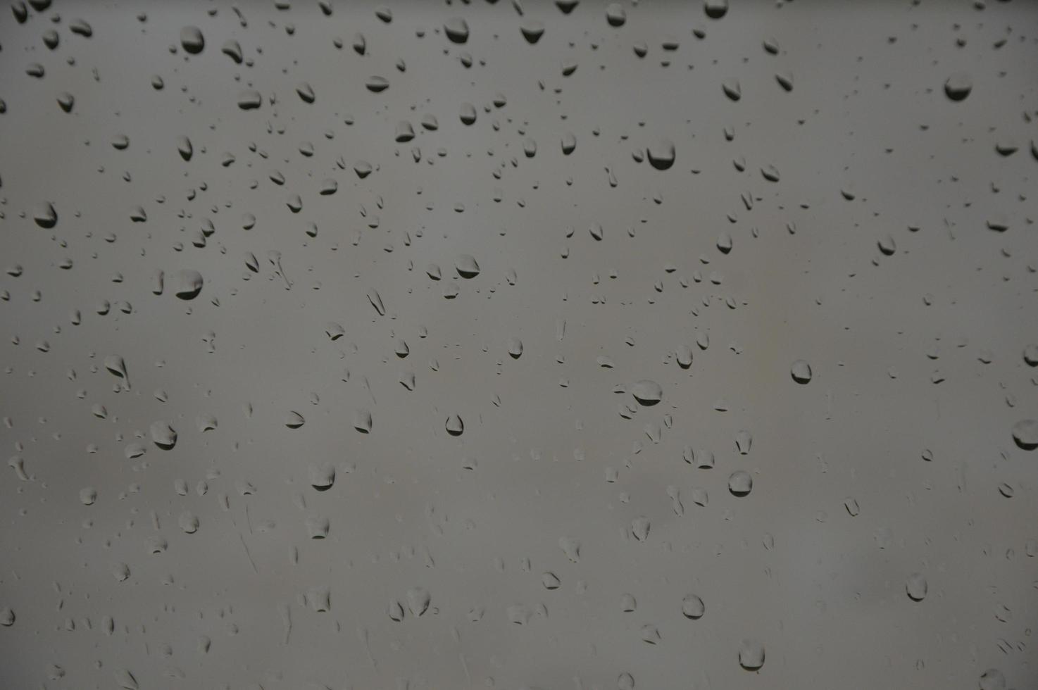 Rain drops on the window photo