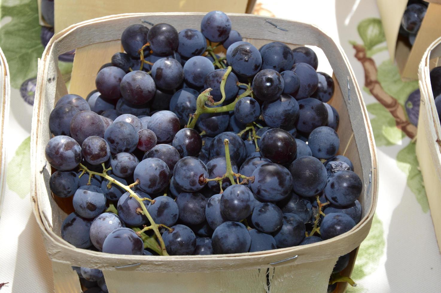 Zoom on Grapes, Muscat photo