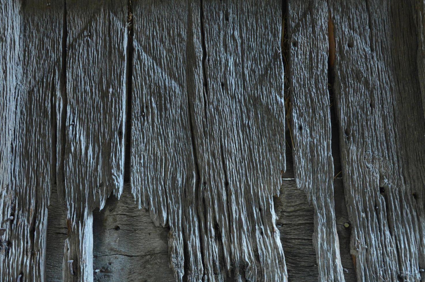 Zoom on a old wooden door photo