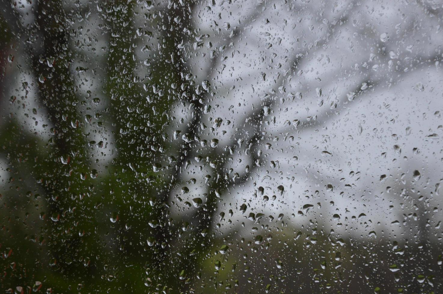 Rain drops on the window photo
