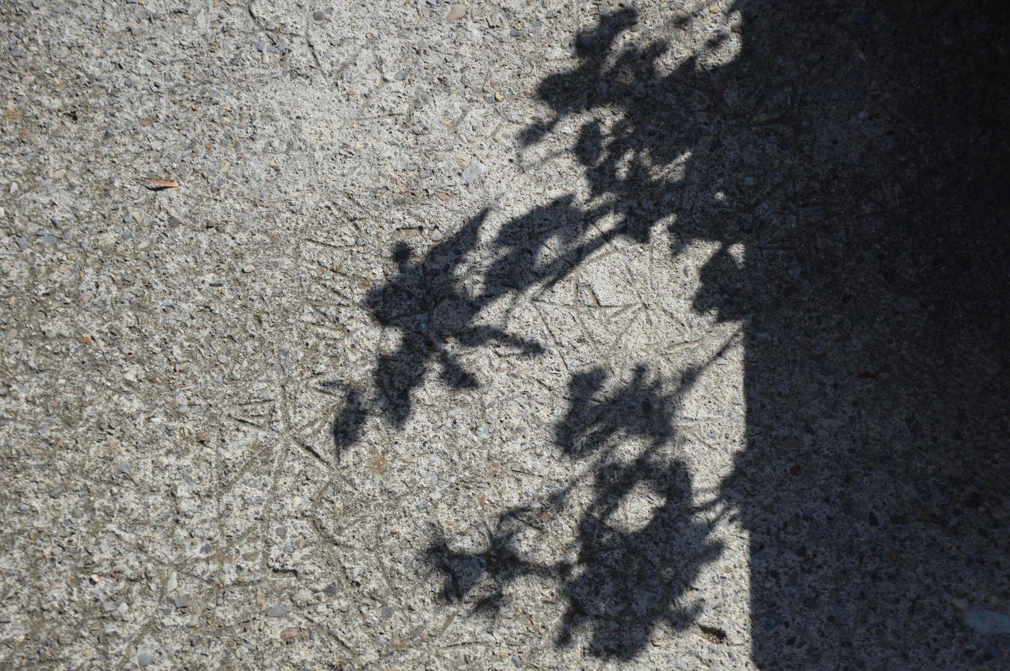 Shadows on the ground photo