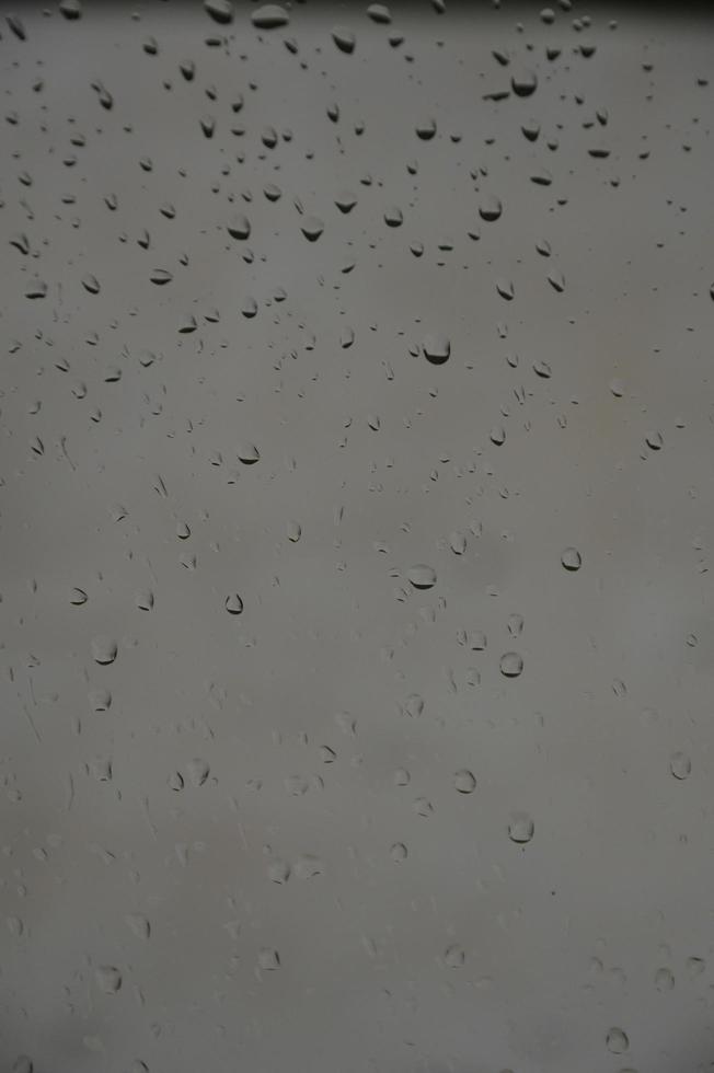 Rain drops on the window photo