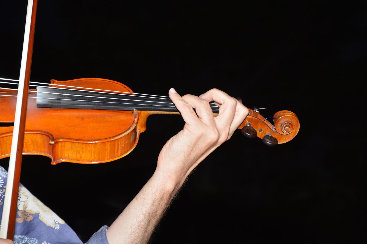 Violin and its bow photo