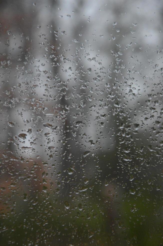 Rain drops on the window photo