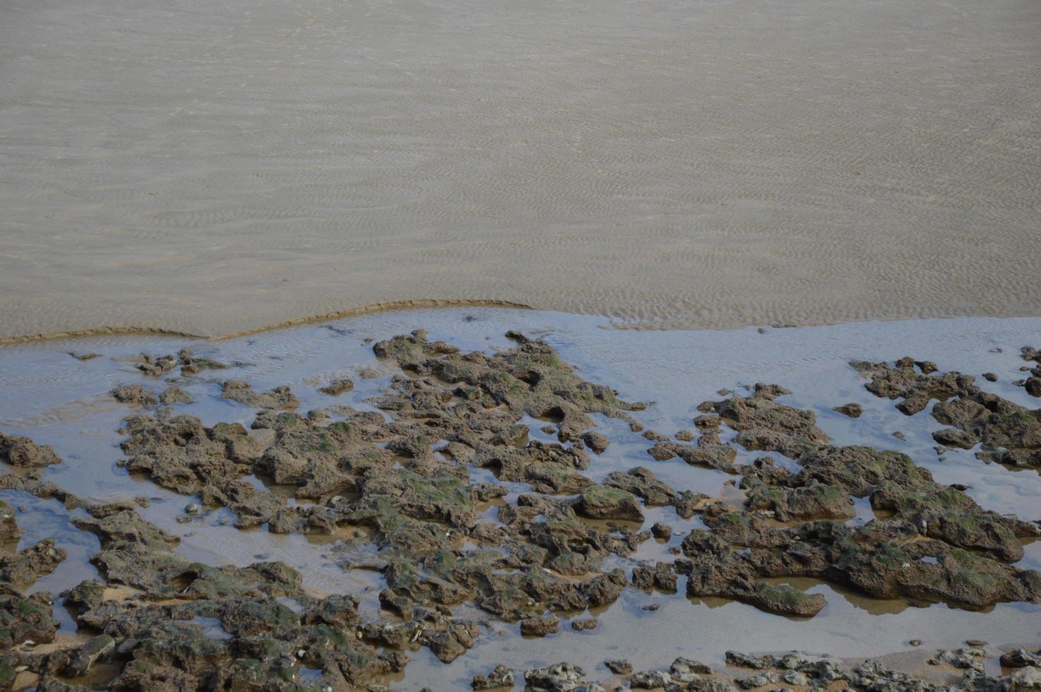 Low tide, Biarritz, France photo