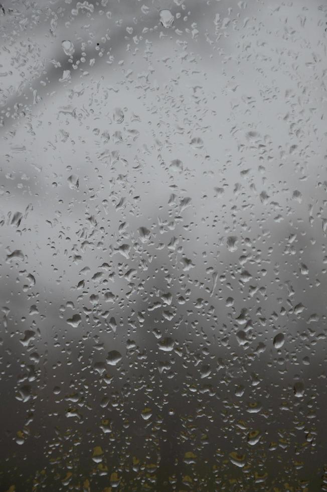 Rain drops on the window photo