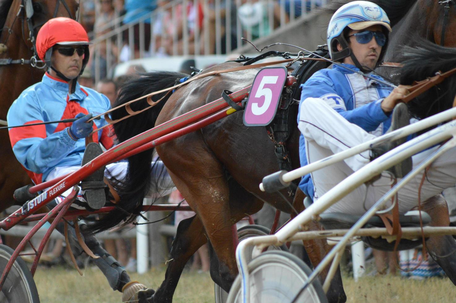 Horse Racecourse August 11.2019 Sault, France photo