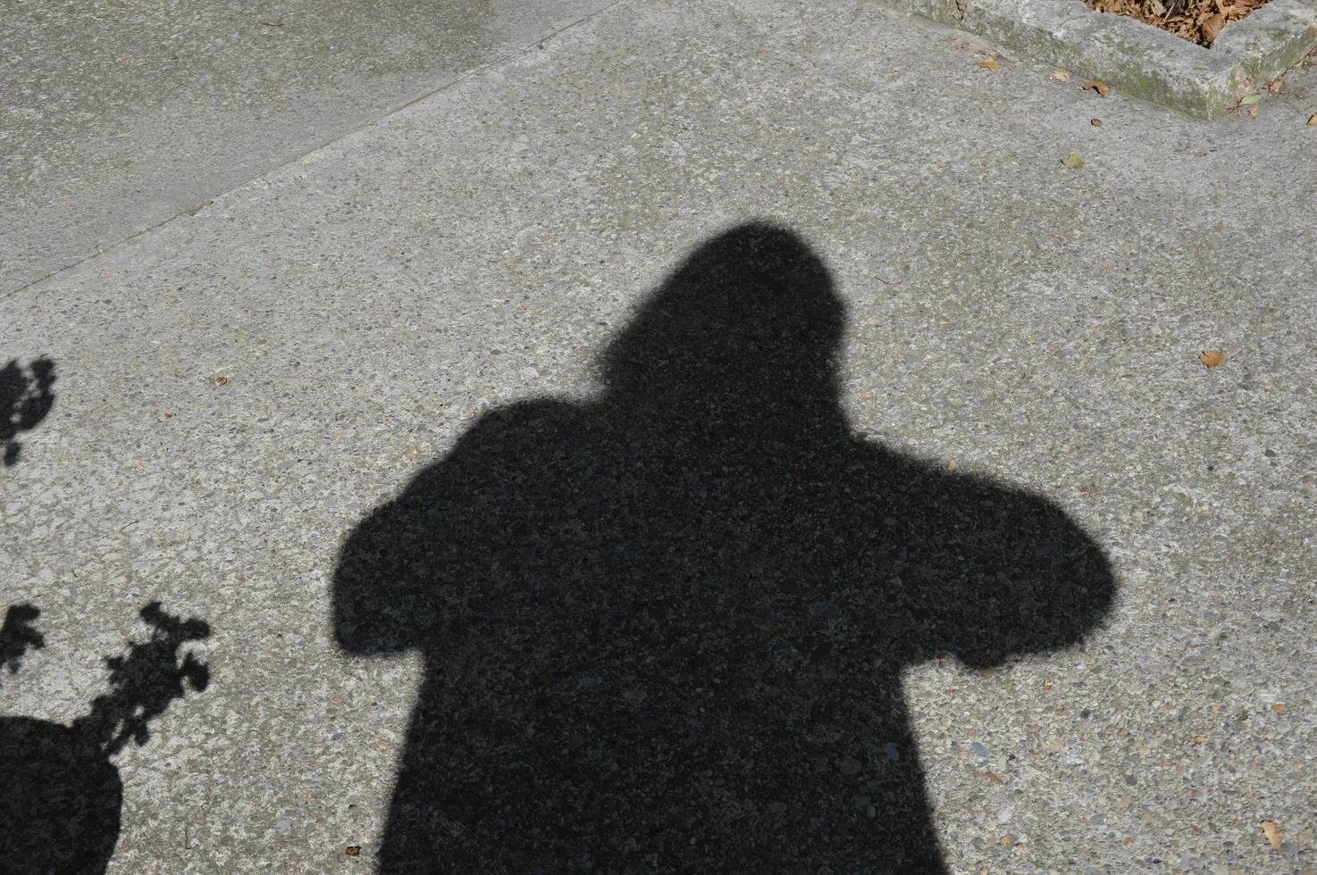 Shadows on the ground photo
