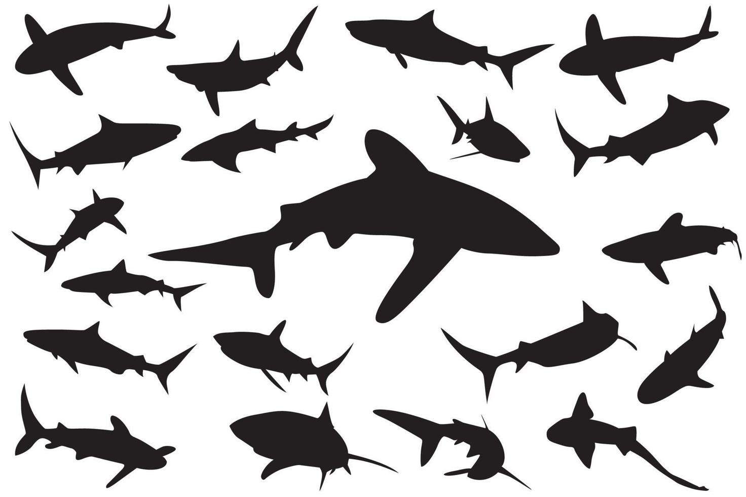 shark silhouette, Set of sharks. collection of silhouettes of predatory swimming marine fish vector