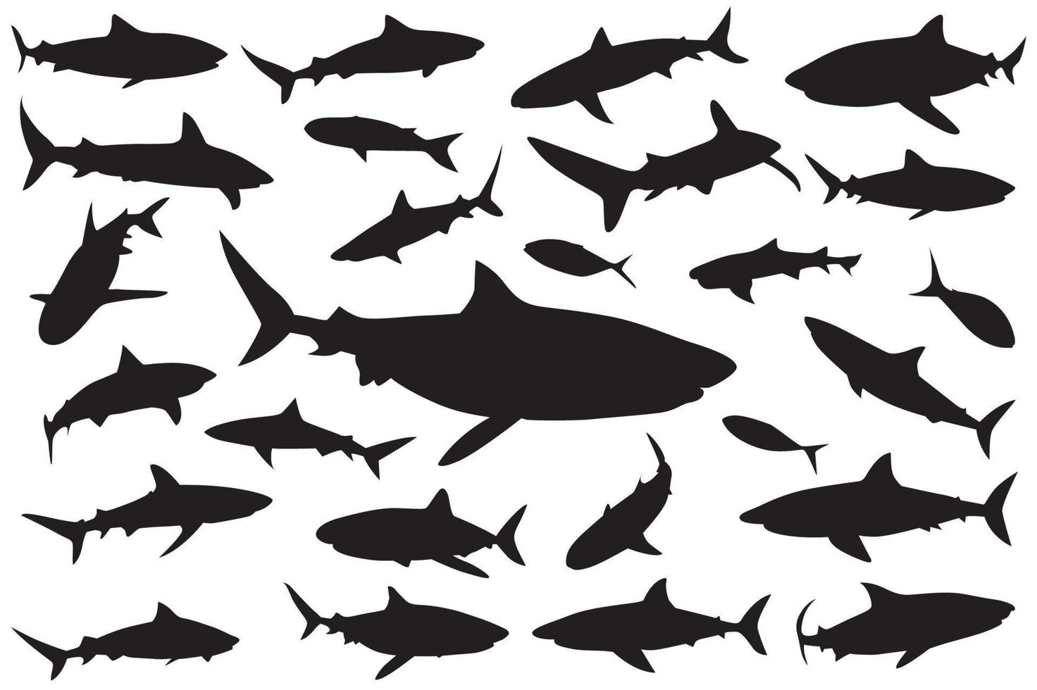 shark silhouette, Set of sharks. collection of silhouettes of predatory swimming marine fish vector