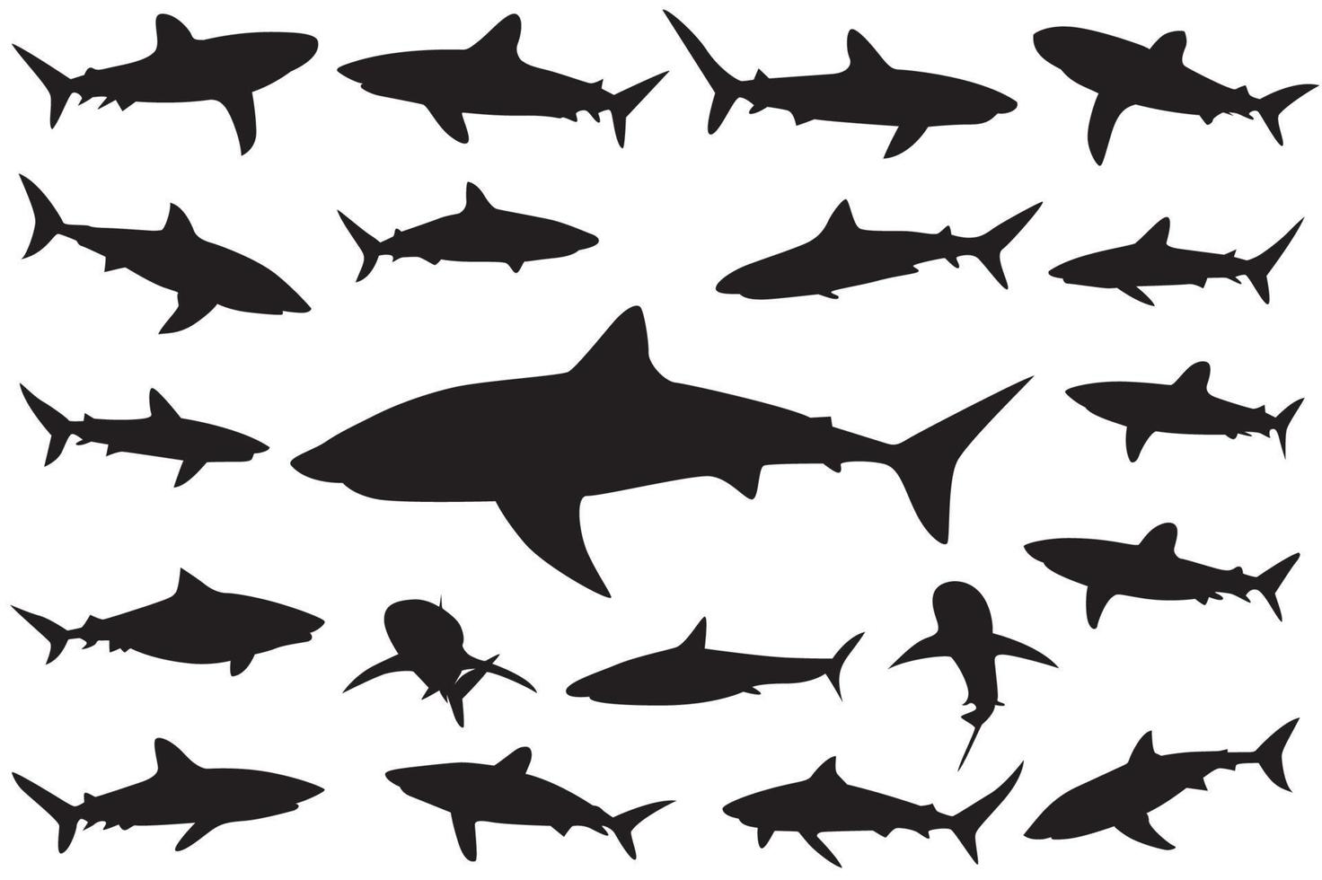 shark silhouette, Set of sharks. collection of silhouettes of predatory swimming marine fish vector