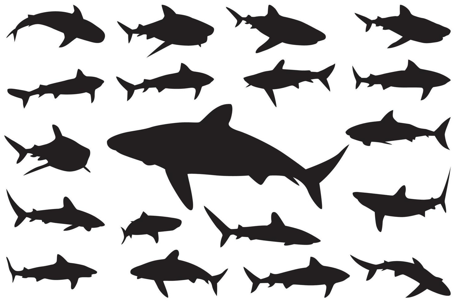 shark silhouette, Set of sharks. collection of silhouettes of predatory swimming marine fish vector