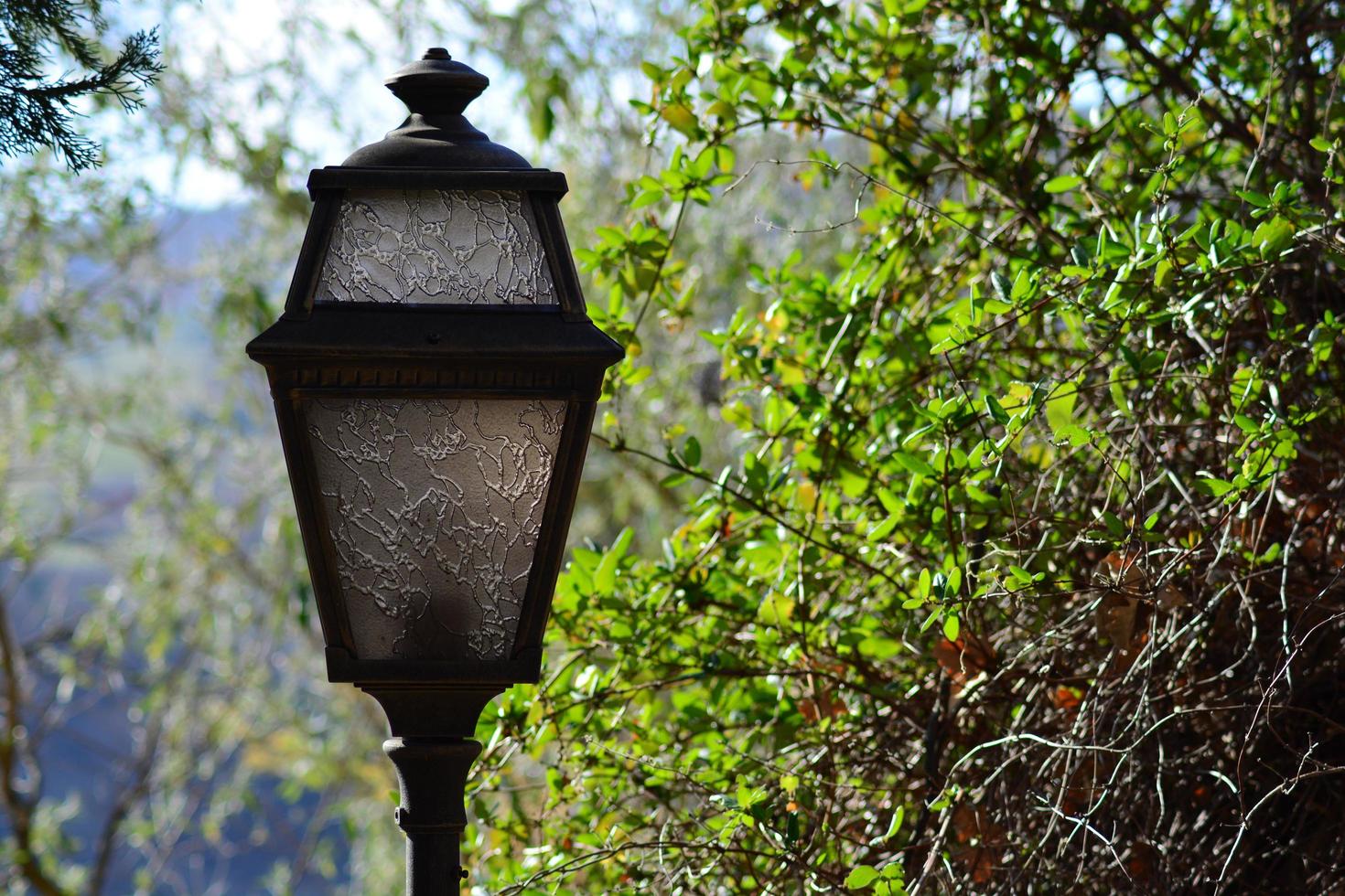 Zoom on street lights photo