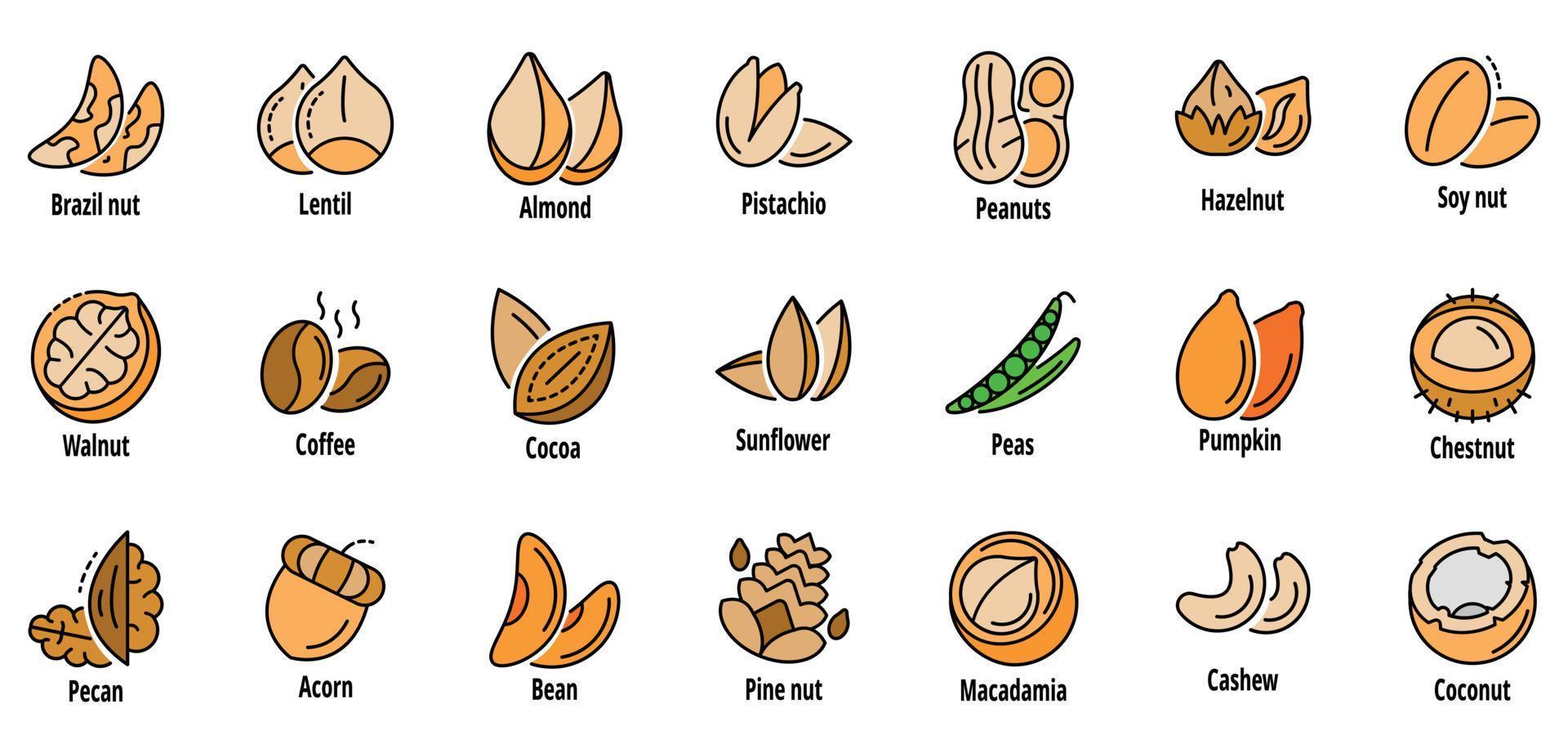 Nut icon set line color vector