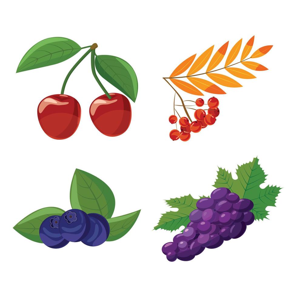 Berries icon set, cartoon style vector