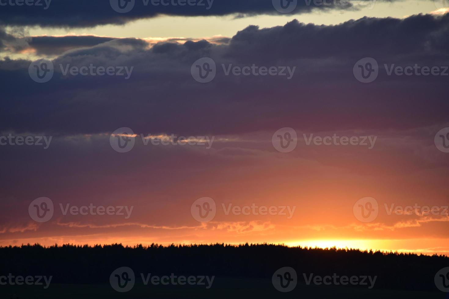 Pink sunset in the evening on a dark forest and clouds photo