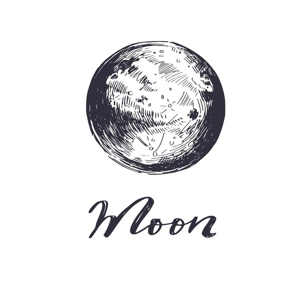 Vintage Moon magic vector illustration.  Astrology, witchcraft concept