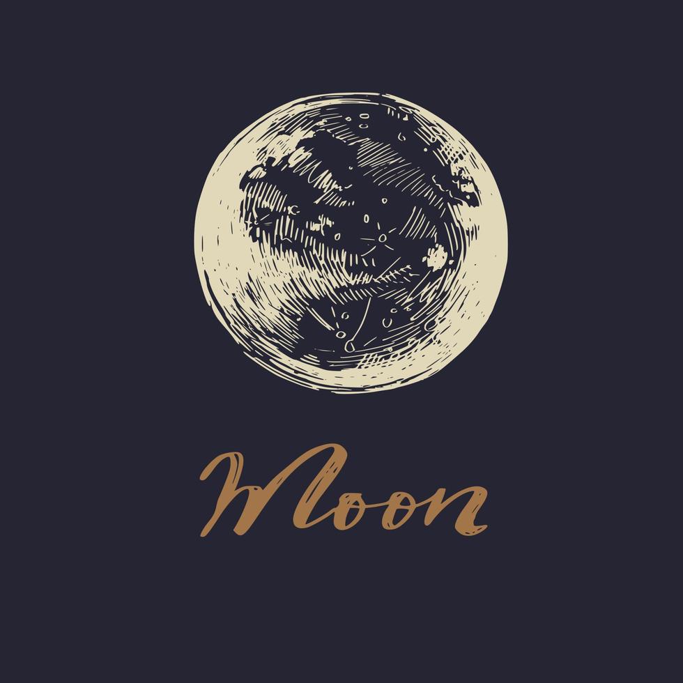 Vintage Moon magic vector illustration.  Astrology, witchcraft concept