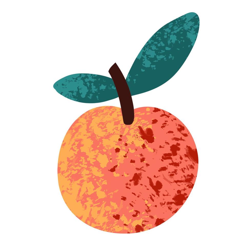 Peach on a white background. Vector illustration