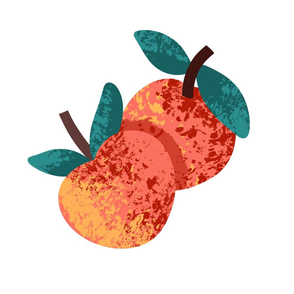 Peach on a white background. Vector illustration