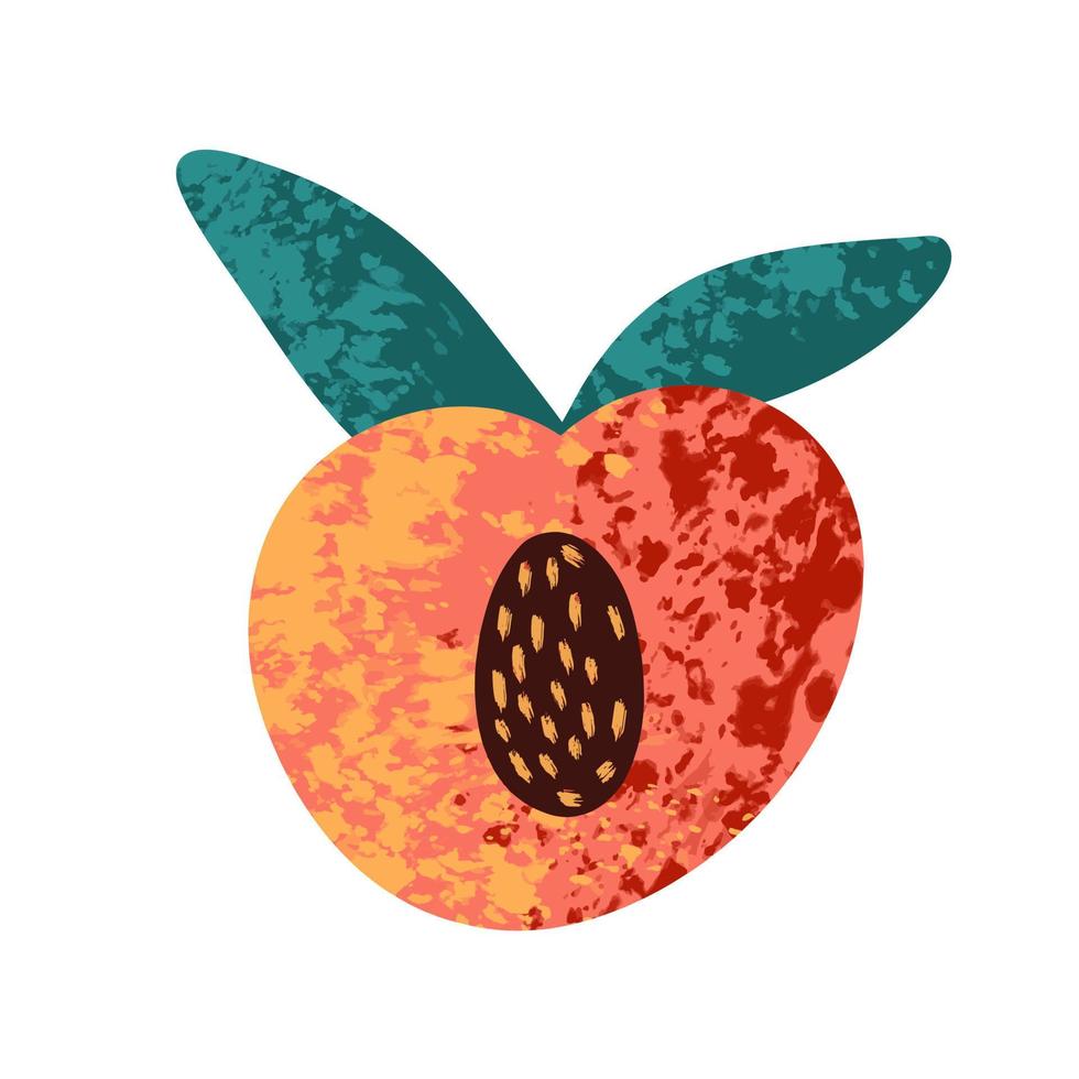 Peach on a white background. Vector illustration